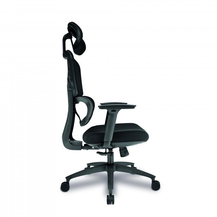 Trinity Ergonomic High Back Mesh Chair